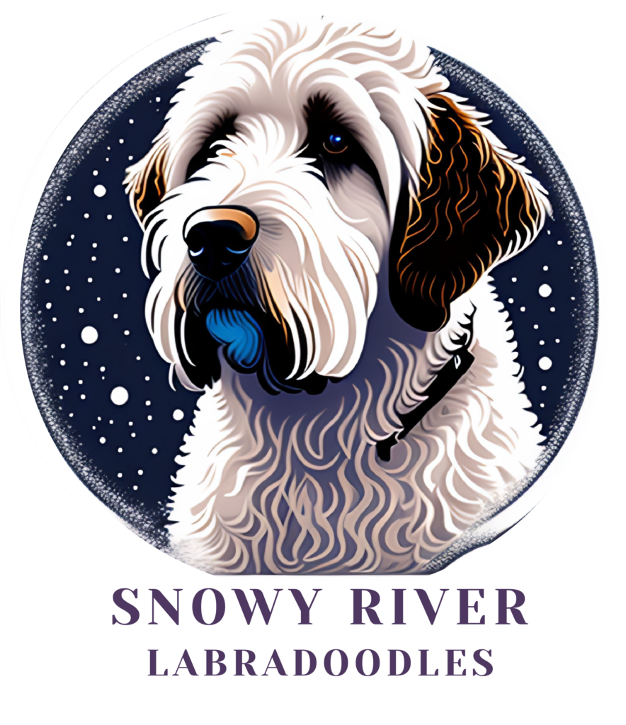Snowy River Labradoodles Logo